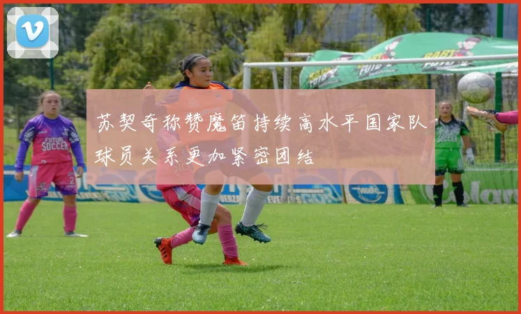苏契奇称赞魔笛持续高水平国家队球员关系更加紧密团结